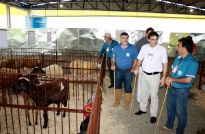 Simão Flores, Cantelmo Neto e Claudio Borges no setor de ovinos e caprinos, que tem 150 animais em exposição